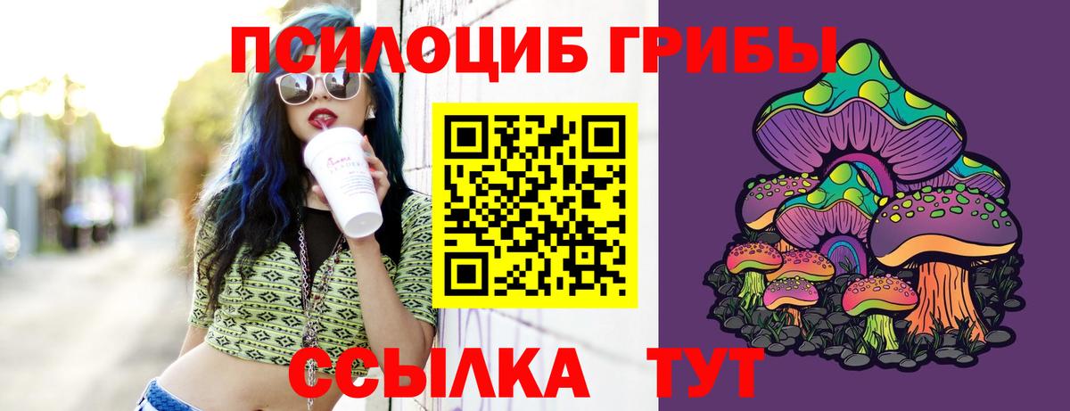 Псилоцибиновые грибы мухоморы Новокубанск
